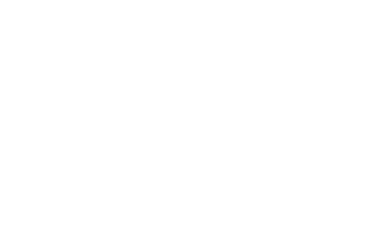 Out of Bounds